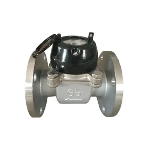 Stainless Steel Water Meter